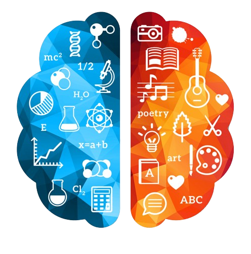 213-2138564_art-and-science-icon-dmit-brain-hd-png-removebg-preview